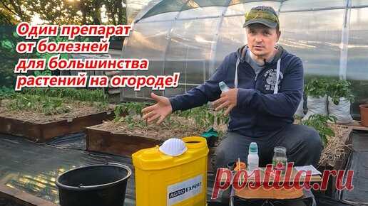 ОТЛИЧНЫЙ ОГОРОД | ПРОФИЛАКТИЧЕСКАЯ ОБРАБОТКА ОТ БОЛЕЗНЕЙ ОДНИМ ПРЕПАРАТОМ ВСЕГО ОГОРОДА!