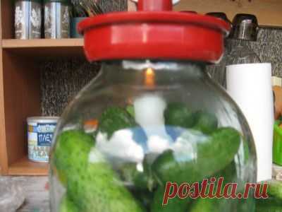 Свежие огурцы на зиму. (Вакумная упаковка в трехлитровке)