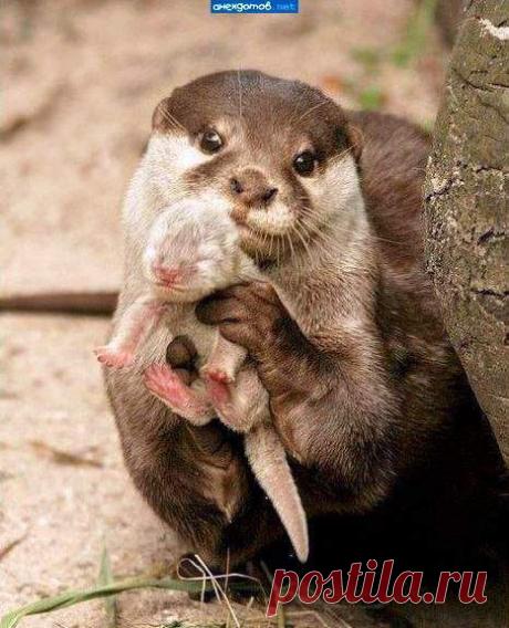 Интересные новости