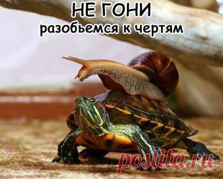 i (600×482)