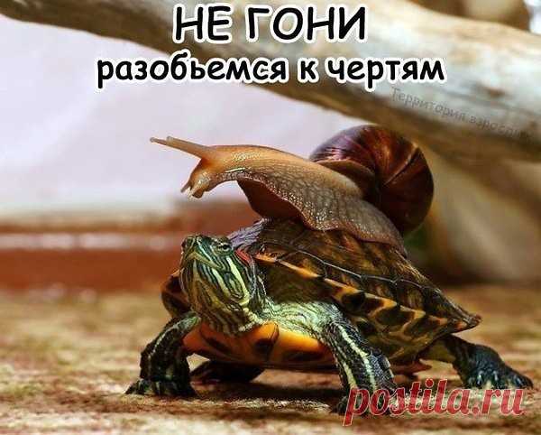 i (600×482)