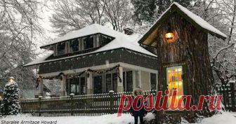 110-летнее засохшее дерево она превратила в библиотеку для соседского мальчика! Сказка... Креативная идея.