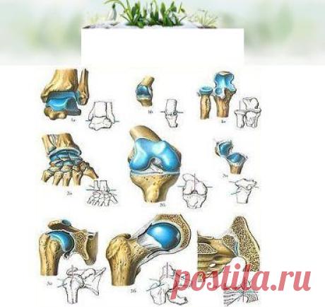 (43) Одноклассники