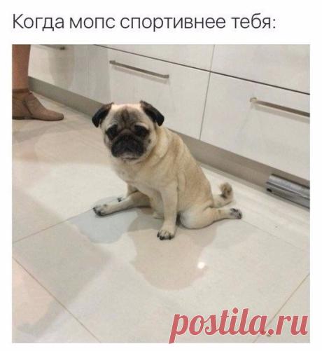Красота и здоровье