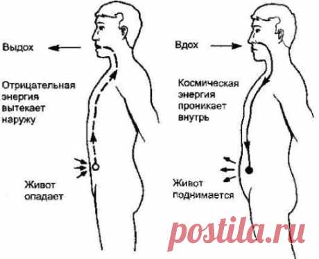 Дыхательная гимнастика для уменьшения живота
Делать дыхательную гимнастику нужно по 15 минут утром, натощак.
Упражнения
Вдох - живот округляем.
Выдох - живот втягиваем.
Во время выдоха помогаем ладонью и стараемся напрячь пресс, так 10 минут.
Затем вдох - живот округляем, на выдохе наклоняемся и пытаемся максимально сделать выдох, втягиваем живот, затаили дыхание, распрямились и считаем до 8-ми, периодически напрягая пресс, потом снова вдох. Так 3 минуты.
Методика основана...