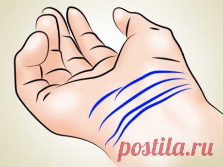 Линии на запястье: значение и влияние на судьбу Анализировать энергетику и судьбу можно не только по линиям на ладони, но и по линиям на запястье. Они могут рассказать многое о жизни, способностях и успехах человека.