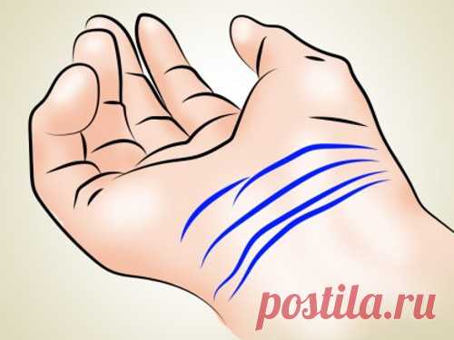 Линии на запястье: значение и влияние на судьбу Анализировать энергетику и судьбу можно не только по линиям на ладони, но и по линиям на запястье. Они могут рассказать многое о жизни, способностях и успехах человека.