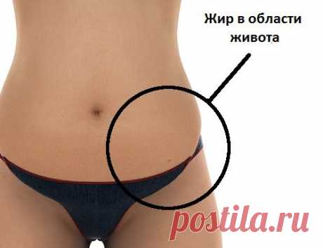 Ешьте эти 10 продуктов, чтобы убрать жир с живота! - Шаг к Здоровью