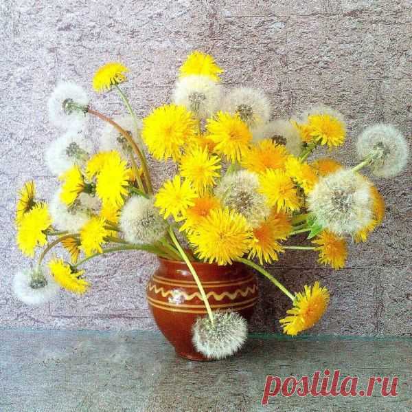 Одуванчики: воспоминания о лете