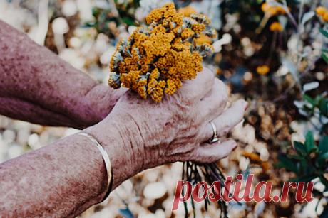 Женщина отметила 100-летний юбилей и раскрыла секреты своего долголетия. На вопрос о секрете долголетия женщина ответила: «Я никогда не курила и не выпивала. Мне это было просто неинтересно». Однако она считает, что, скорее всего, живет так долго благодаря генетике. «Мой отец не дожил месяца до 100 лет, а мать умерла, когда ей было 96», — рассказала она.