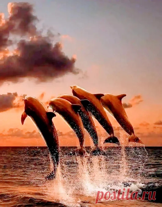 Google+