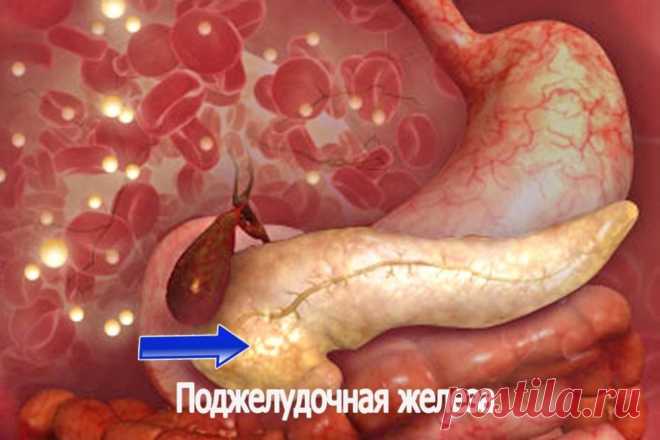 Очищение поджелудочной железы - народные советы.