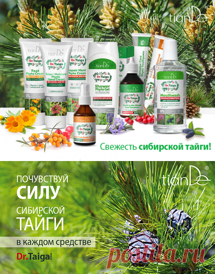 Почувствуйте силу сибирской тайги в каждом средстве Dr. Taiga! Подробности – на вебинаре 6 февраля! | TianDe