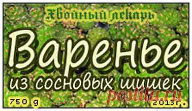 Варенье из молодых сосновых шишек, рецепты