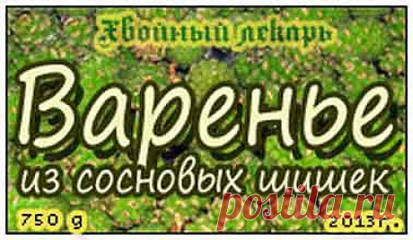 Варенье из молодых сосновых шишек, рецепты