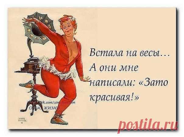 - Спать иди, скотина! — раздался из кухни голос матери... 
Два гаишника на месте аварии:— Пиши: Ноги лежат в канаве…— В канаве…— Голова — на шоссе…— Голова на шос… А как пишется «шоссе»?Первый гаишник ненадолго задумывается, после чего пинает голову:— Пиши —…