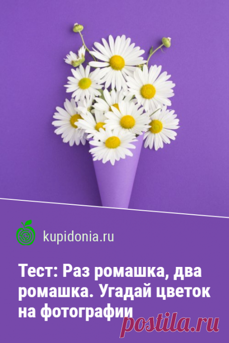 Тест: Раз ромашка, два ромашка. Угадай цветок на фотографии. Предлагаем вам пройти весенний тест в преддверии лета.  Давайте готовиться к самому тёплому времени года и вспоминать самые яркие полевые цветы! Мы подготовили для вас 21 вопросов с фотографиями и подсказками.