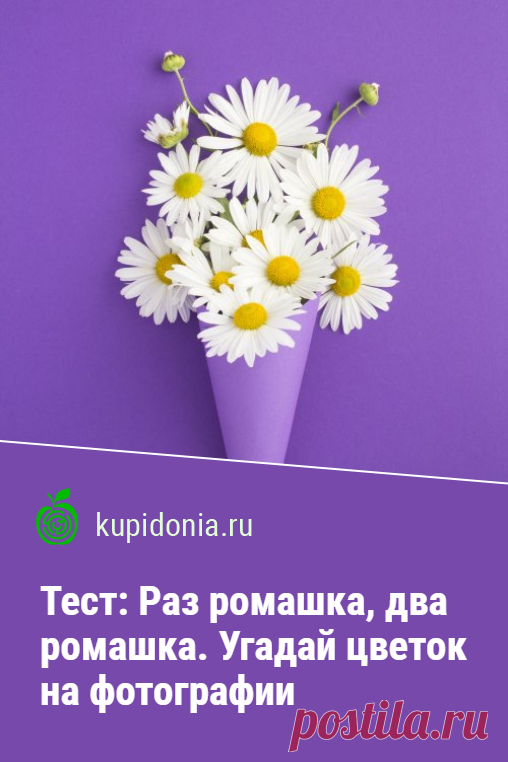 Тест: Раз ромашка, два ромашка. Угадай цветок на фотографии. Предлагаем вам пройти весенний тест в преддверии лета.  Давайте готовиться к самому тёплому времени года и вспоминать самые яркие полевые цветы! Мы подготовили для вас 21 вопросов с фотографиями и подсказками.