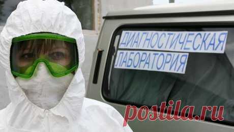 Свиной грипп обнаружили во всех регионах России | 27 декабря 2022 - Новости Mail.ru