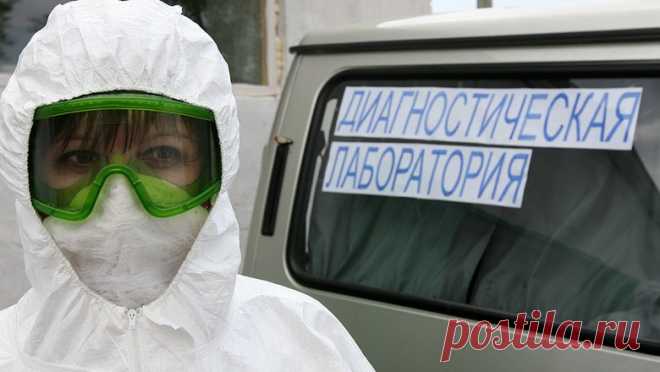 Свиной грипп обнаружили во всех регионах России | 27 декабря 2022 - Новости Mail.ru