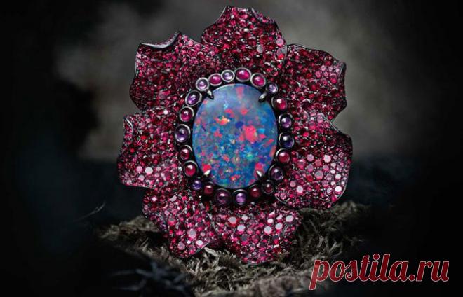 Сияющий опал: 10 удивительных фактов о самом красивом драгоценном минерале