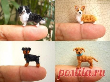 Миниатюрные собачки из пряжи: невероятные идеи для творчества