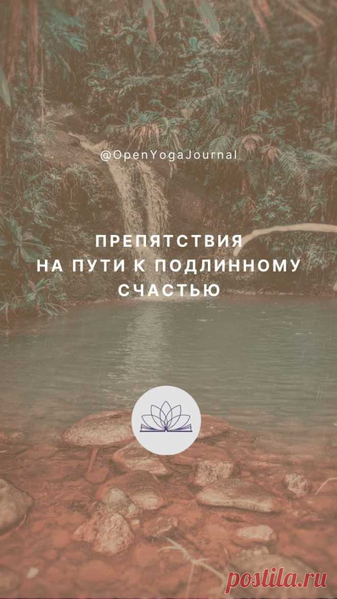 В своём стремлении быть счастливым мы преследуем определённые цели. Однако как часто они оказываются ложными, а счастье от их достижения недолговечным. Как учит йога, настоящее, непреходящее и абсолютное счастье — это наше естественное состояние, и находится оно только внутри нас.