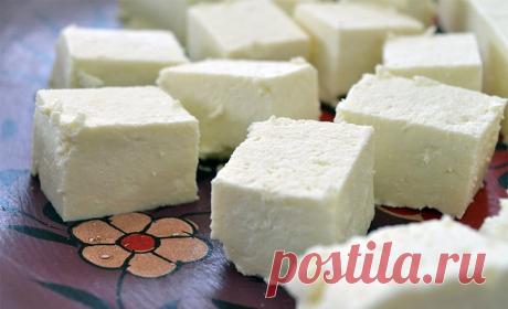 Легендарные сыры домашнего приготовления: 8 простых рецептов