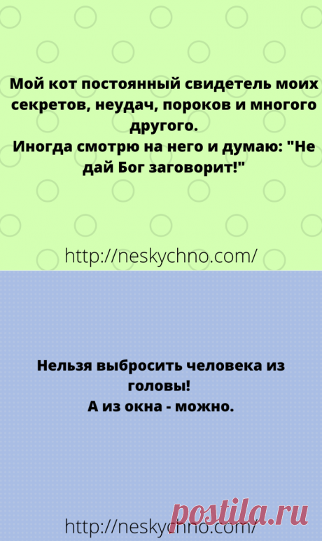Забавные шутки, анекдоты и веселые истории в картинках