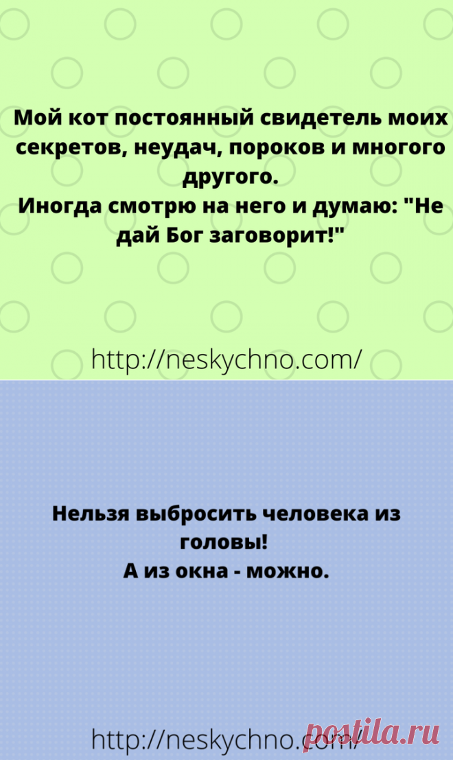 Забавные шутки, анекдоты и веселые истории в картинках