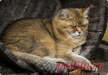 Мой Мир@Mail.Ru