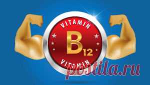 Витамин B12. Инструкция по применению витамина B12 дома - WG-up
