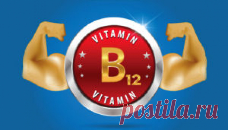 Витамин B12. Инструкция по применению витамина B12 дома - WG-up