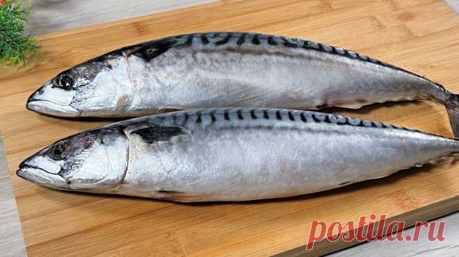 Вкуснее скумбрии я не ела. Ужин из простых продуктов: сочная ароматная рыба с гарниром Скумбрия — это весьма полезная рыба, которую стоит обязательно включать в свой рацион питания. Дело в том, что в скумбрии есть много витаминов и минералов. Например, рыба богата Омега-3 кислотами, витаминами В, А, D, Е, С и К. В скумбрии полно микроэлементов по типу фосфора, кальция и магния. Рыба хорошо влияет на сердечно-сосудистую систему, а […]