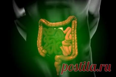 Здоровье кишечника: причины и симптомы неполадок в работе пищеварения | Полезные инструкции от aif.ru