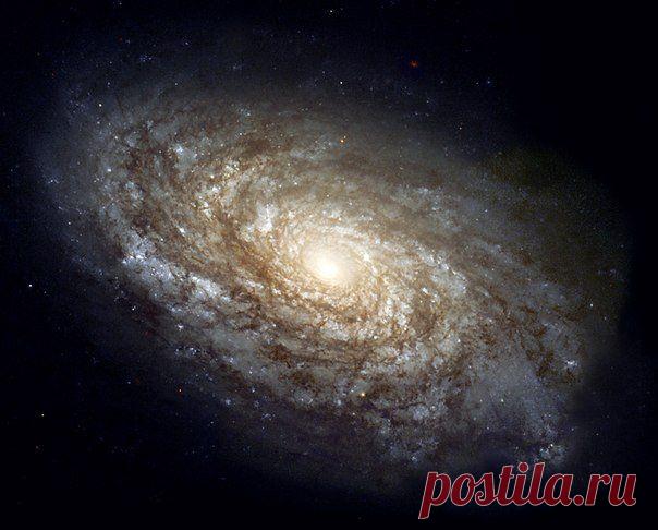 Астрономические термины / Неформальный Английский