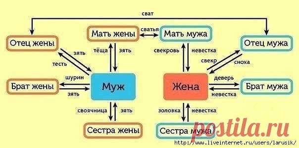 Родственные связи. Кто кому кем приходится?