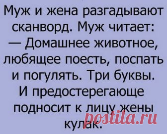 Веселые анекдоты о семейной жизни — Жизнь под Лампой!