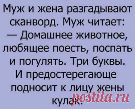 Веселые анекдоты о семейной жизни — Жизнь под Лампой!