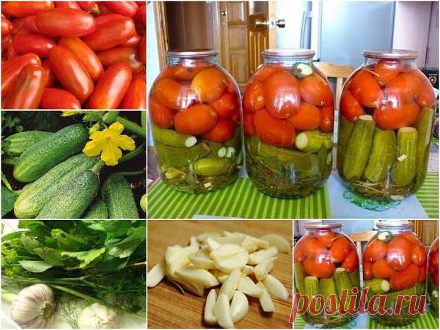 Солим томаты вместе с огурцами
Вкусное ассорти обязательно понравится вашим близким.

Ингредиенты:
томаты и небольшие огурцы (сколько войдет в 3 литровую банку),
2 ст. ложки соли,
3 ст. ложки сахара,
1 ст. ложки 9% уксуса или чайную ложку лимонной кислоты
чеснок по вкусу,
зелень (листья вишни, смородины, хрена и зонтики укропа),
душистый перец и черный перец по вкусу.

Приготовление:
1. Первым слоем выложить зелень и чеснок. По вкусу, можно добавить острый перец. Далее, вы...
