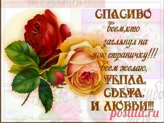 Спасибо Вам хочу сказать
За поздравления с днем рождения.
В ответ и Вам я пожелать
Хочу всех благ и вдохновения.