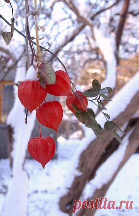 Борис Пастернак "Снег идет"