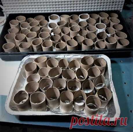 Делаю контейнеры для семян и рассады без затрат: простой способ со втулками