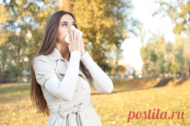 5 вегетарианских источников белка, не вызывающих аллергию | Все об Осознанной Красоте