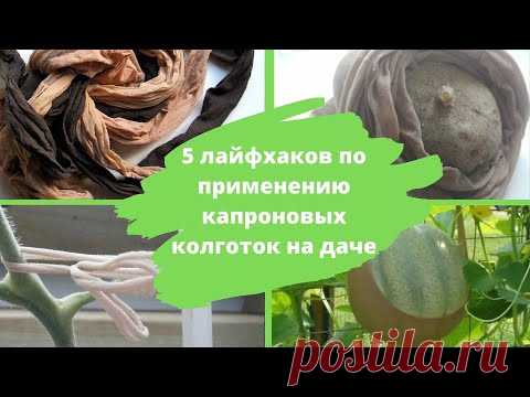 5 лайфхаков по применению капроновых колготок на даче