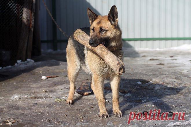 Вам и не снилось...
Светлана Канашевич