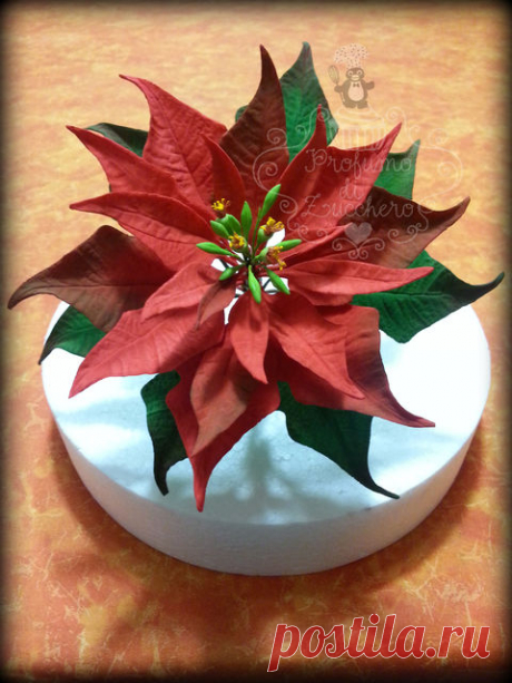 Flowers tutorials #1: How to make a lifelike gumpaste poinsettia - CakesDecor