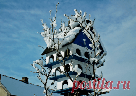 Календарь сезонных работ в саду: декабрь - Planetalsad