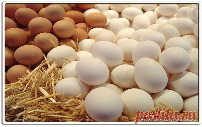 Если вы заболели - откройте холодильник. Куриное яйцо вам поможет!