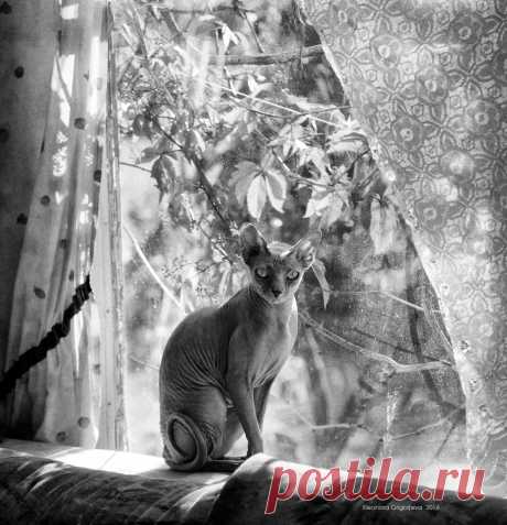 35PHOTO - Eleonora Grigorjeva - Про хвостик бубликом